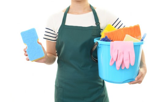 Accessible carpet cleaning website illustration in Newbury Park