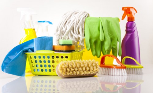 Carpet cleaning professional preparing safe equipment in a Newbury Park property