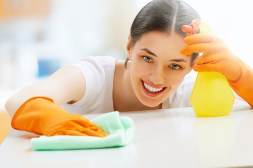 Professional carpet cleaning in a Newbury Park home living room