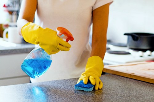 Carpet cleaning team focusing on recycling and eco-friendly waste sorting in Newbury Park