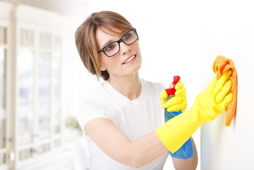 Professional carpet cleaning process during a scheduled appointment