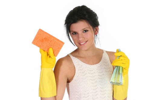 Deep carpet cleaning equipment in a Newbury Park house