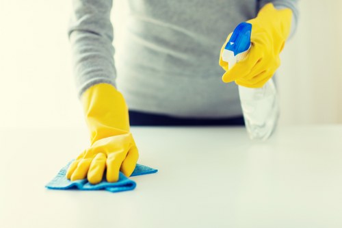 Technician applying carpet cleaning treatment in a living room