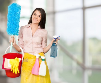 Transparent pricing model for Newbury Park carpet cleaning services