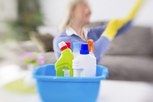 Step-by-step sofa cleaning process in Newbury Park with stain treatment