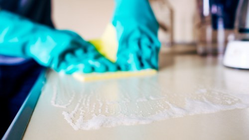 Blotting a fresh pet stain to prevent odour from setting into fabric
