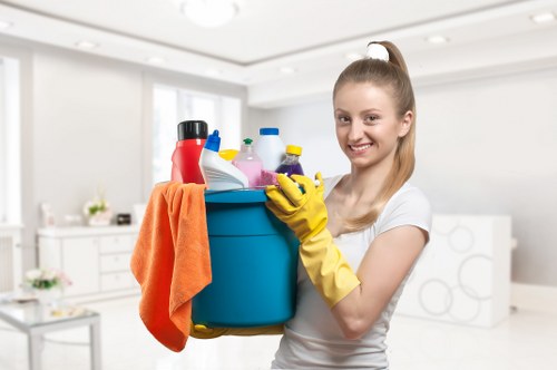 Reviewing carpet cleaning complaint details and service notes