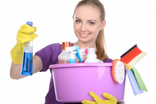Deep carpet cleaning in a Newbury Park home interior